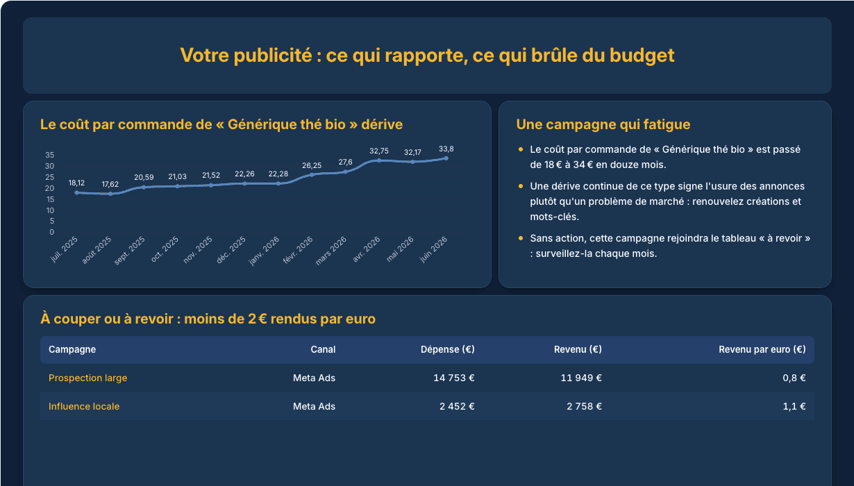 Tableau de bord Rentabilité des campagnes, avec données d’exemple